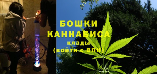 спиды Ладушкин